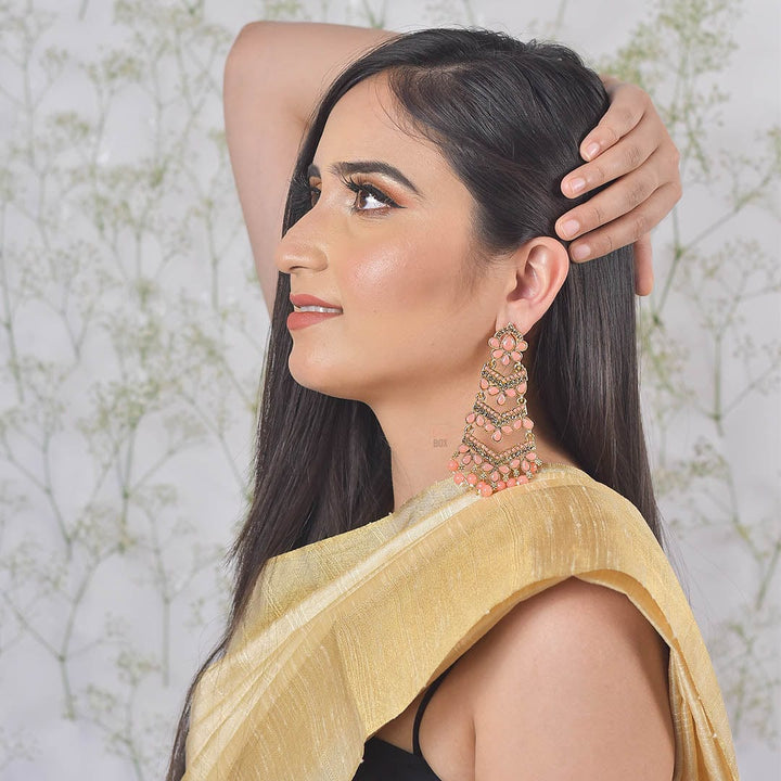 Bling Box Jewellery Gorgeous Cascading Earrings Jewellery