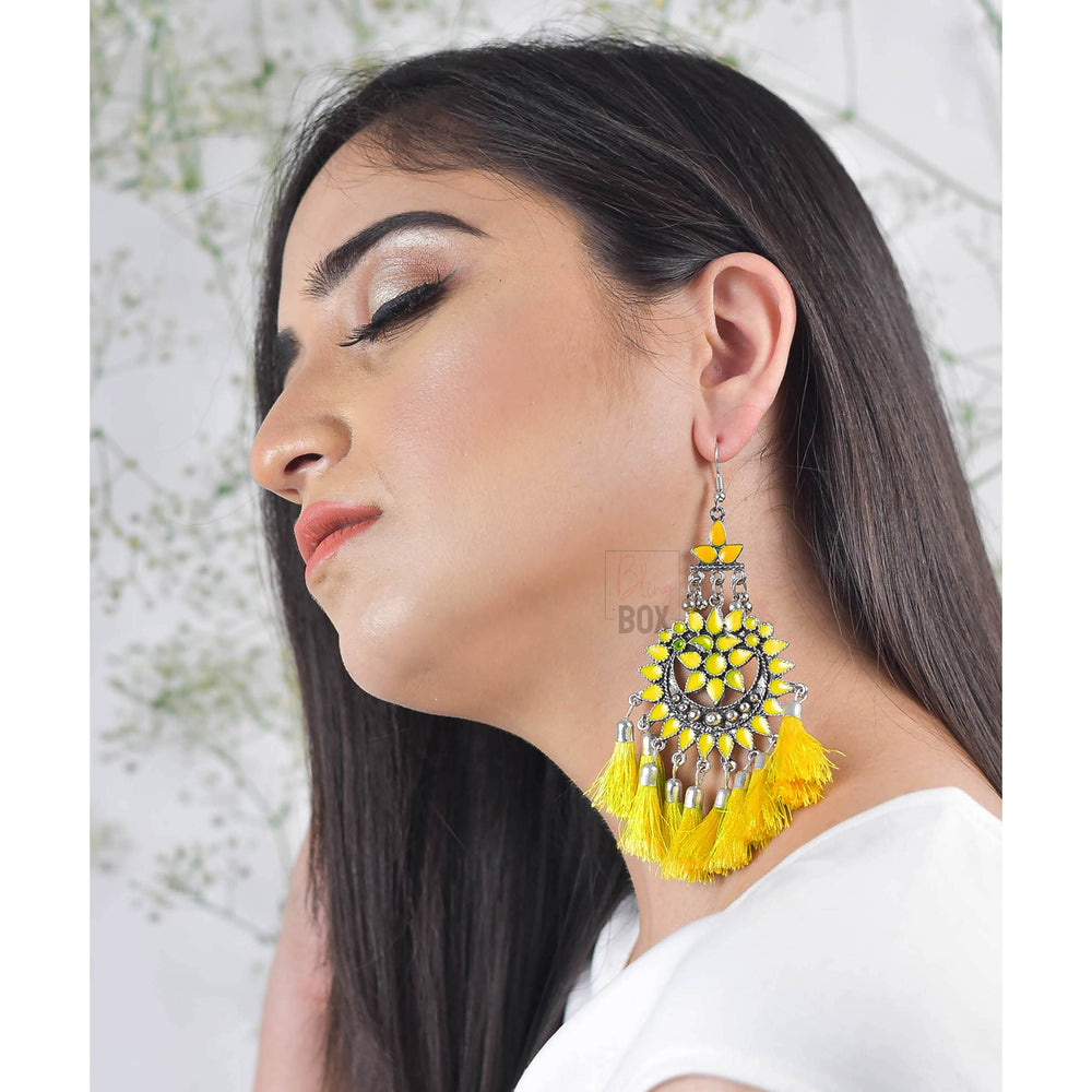 Bling Box Jewellery Beautiful Ethnic Tassel Earrings Jewellery 