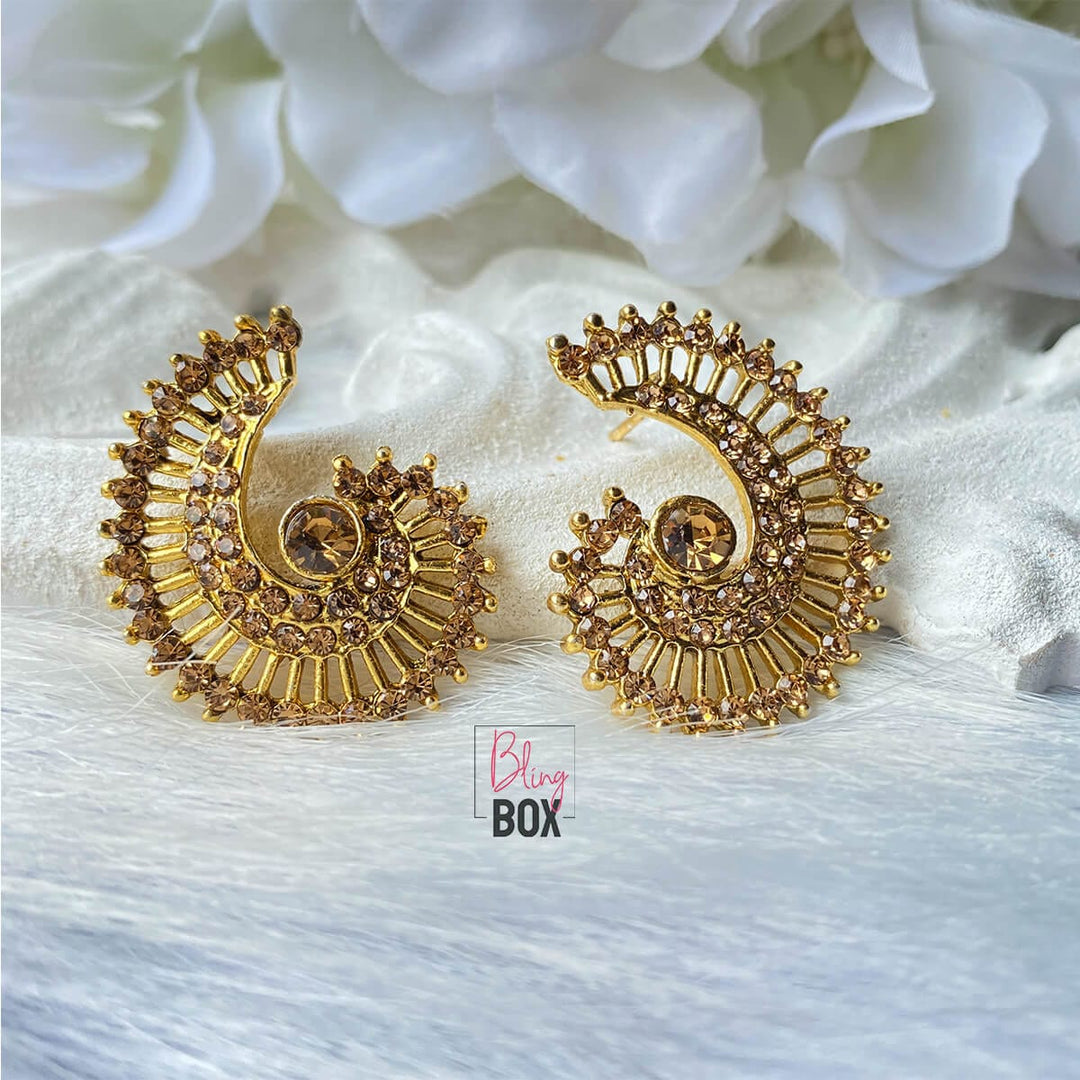 Bling Box Jewellery Spiral Gold  Earrings Jewellery 